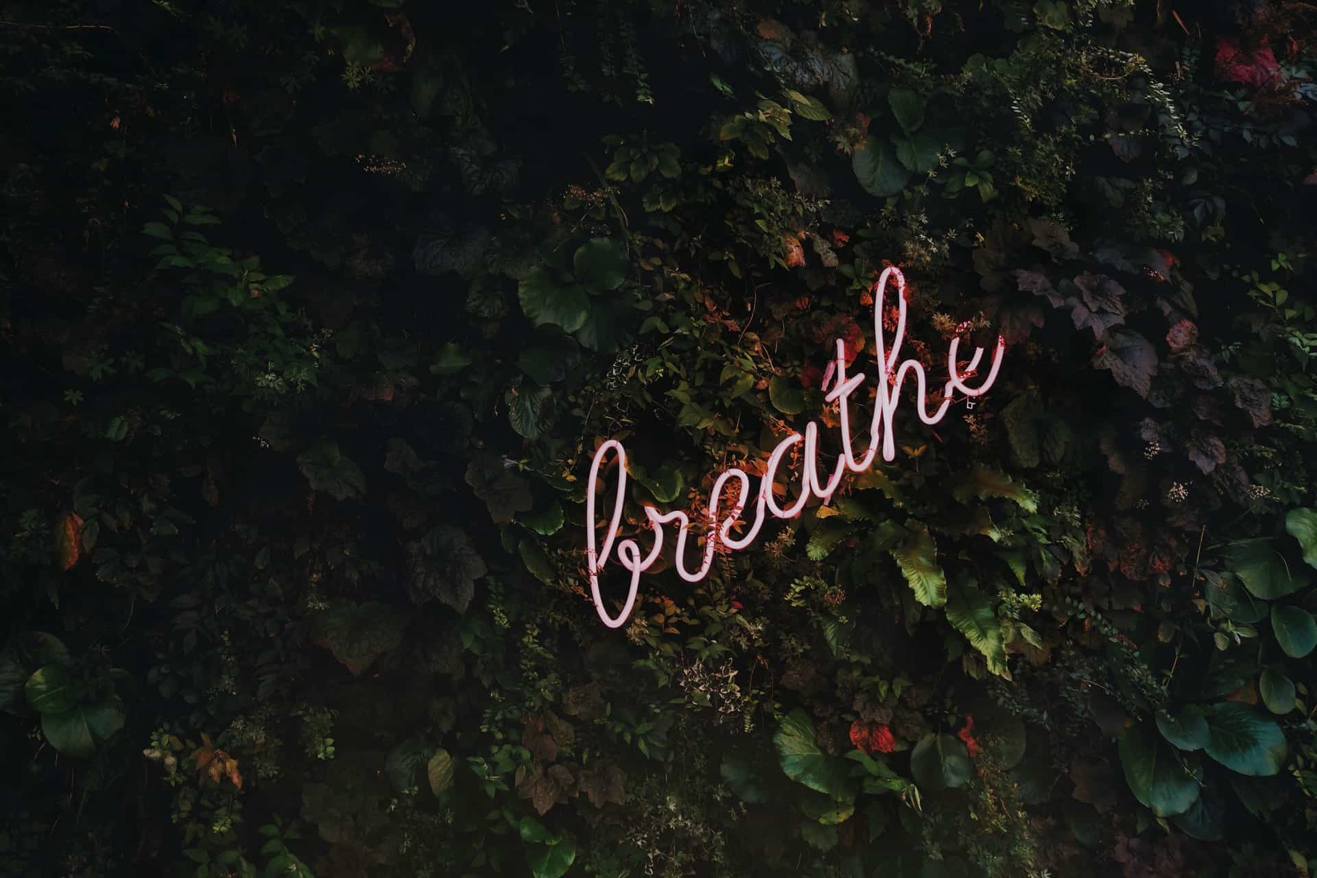 tim goedhart vnpTRdmtQ30 unsplash - 5 ways to relax and reconnect with yourself during quarantine